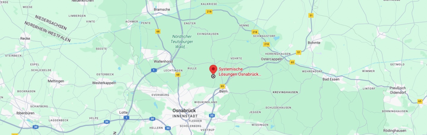 Systemische Beratung und Familienaufstellung in Osnabrück Belm. Beate Meyer zu Driehausen, Familienstellen mit Figur & Familienaufstellung in Präsenz. Kinderwunsch & Familienglück